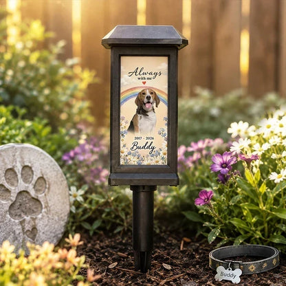 Personalized Pet Memorial Solar Garden Stake Light, Sunflower Dog Tribute, Unique Sympathy Gift for Pet Owners